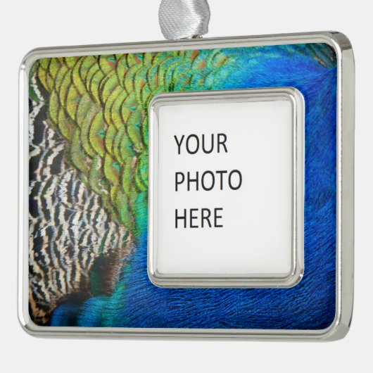 Peacock Feathers IV Kleurrijke Abstracte Natuur Verzilverd Omlijst Ornament (Links)