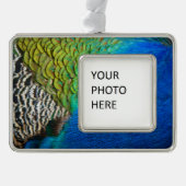 Peacock Feathers IV Kleurrijke Abstracte Natuur Verzilverd Omlijst Ornament (Voorkant)