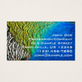Peacock Feathers IV Kleurrijke Abstracte Natuur Visitekaartje (Voorkant)