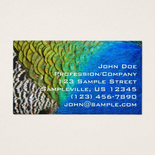Peacock Feathers IV Kleurrijke Abstracte Natuur Visitekaartje (Voorkant)