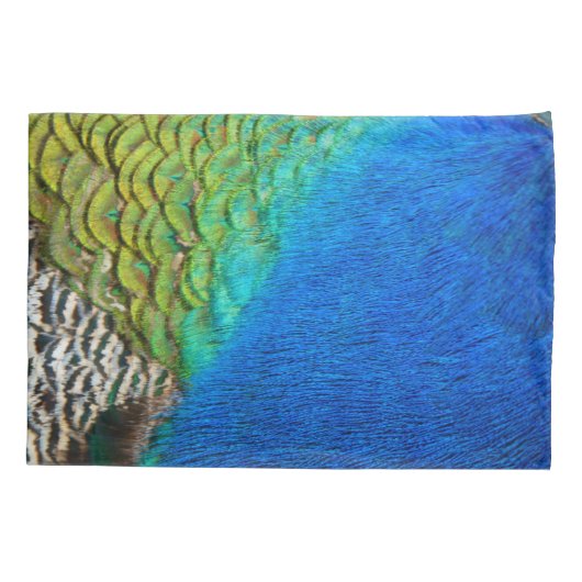 Peacock Feathers IV Kleurrijke Natuur Monogram Kussensloop (Achterkant)