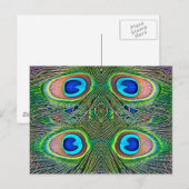 Peacock Feathers Kaleidoscope Print Briefkaart (Voorkant / Achterkant)