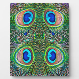 Peacock Feathers Kaleidoscope Print Fotoplaat
