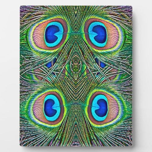 Peacock Feathers Kaleidoscope Print Fotoplaat (Voorkant)