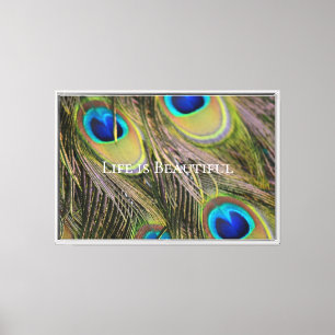 Peacock Feathers Kauai Hawaii Canvas Afdruk