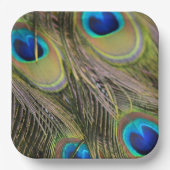 Peacock Feathers Kauai Hawaii Papieren Bordje (Voorkant)