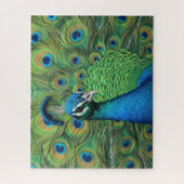 Peacock Feathers Legpuzzel (Verticaal)