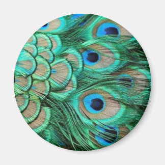 PEACOCK FEATHERS MAGNEET