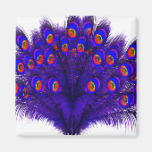 Peacock Feathers Magneet (Voorkant)