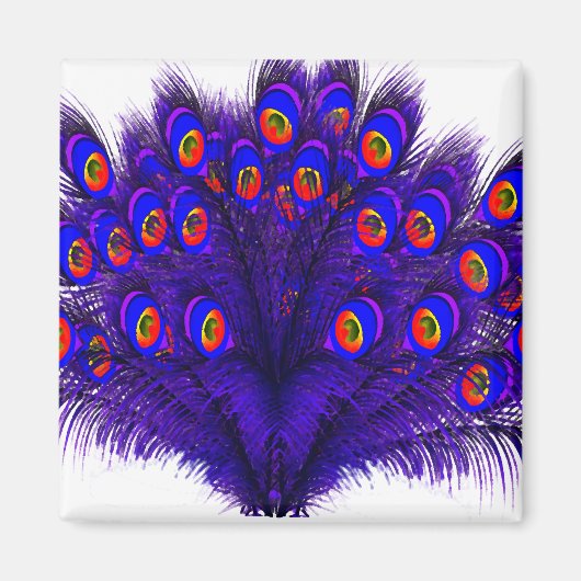 Peacock Feathers Magneet (Voorkant)