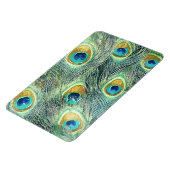 PEACOCK FEATHERS magneet (Linkerzijde)