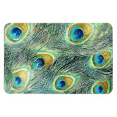 PEACOCK FEATHERS magneet (Horizontaal)