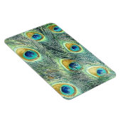 PEACOCK FEATHERS magneet (Rechterzijde)