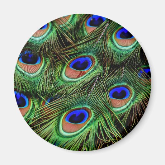 Peacock Feathers Magneet (Voorkant)