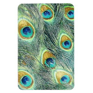 PEACOCK FEATHERS Magnet Magneet