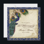 Peacock & Feathers Marine Blauw Kant Bruiloft Vier Kaart<br><div class="desc">SQUARE INVITATION FORMAT - Dit antiek geïnspireerde bruiloft collectie heeft een complete suite van producten en kan worden gemaakt in verschillende kleuren. Dit ontwerp bestaat uit een statige pauw op een boomtak kunstelement gelaagd drie pauwenveren en over een engelenets, wervelingen, antiek handschrift, handbeschilderd kant overlayed perkament en een prachtig origineel...</div>