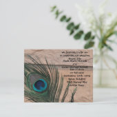 Peacock Feathers met Bricks Weddenschap Kaart (Staand voorkant)