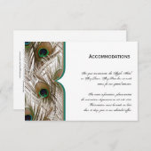 Peacock Feathers met een dubbel Lijst Informatiekaartje (Voorkant / Achterkant)