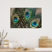 Peacock Feathers met Rocks Poster (Keuken)