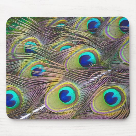 Peacock Feathers Muismat (Voorkant)