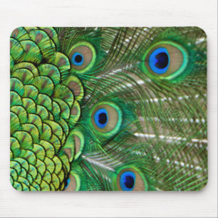 Peacock Feathers Muismat