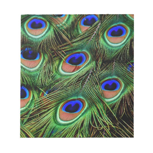 Peacock Feathers Notitieblok (Voorkant)