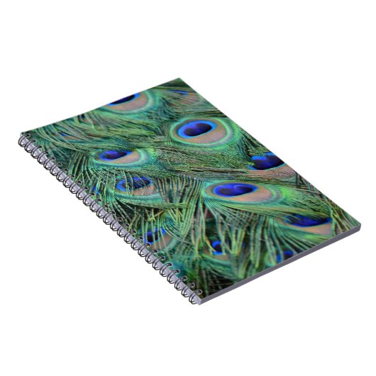 Peacock Feathers Notitieboek (Rechterzijde)
