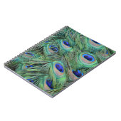 Peacock Feathers Notitieboek (Linkerzijde)