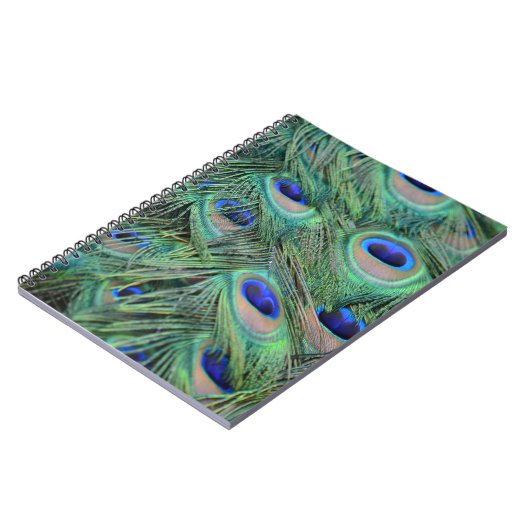 Peacock Feathers Notitieboek (Linkerzijde)