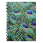 Peacock Feathers Notitieboek (Voorkant)