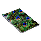 Peacock Feathers Notitieboek (Rechterzijde)