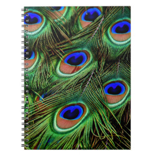 Peacock Feathers Notitieboek