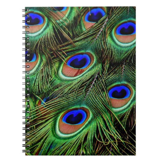 Peacock Feathers Notitieboek (Voorkant)