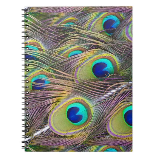 Peacock Feathers Notitieboek (Voorkant)