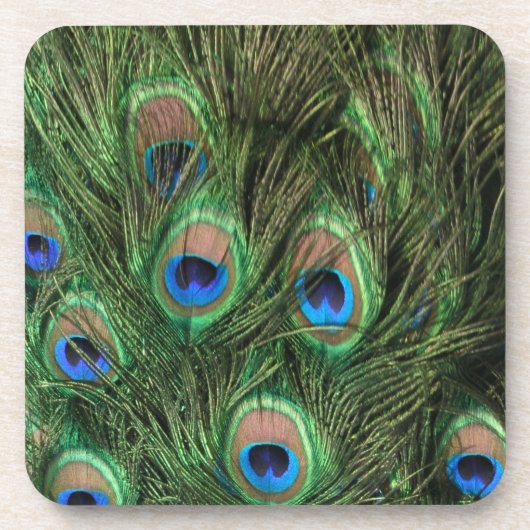 Peacock Feathers Onderzetter (Voorkant)