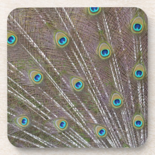 Peacock Feathers Onderzetter