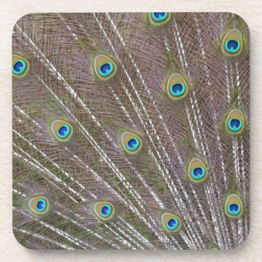 Peacock Feathers Onderzetter (Voorkant)