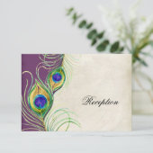 Peacock Feathers Opvangkaart Informatiekaartje (Staand voorkant)