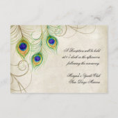 Peacock Feathers Opvangkaart Informatiekaartje (Achterkant)