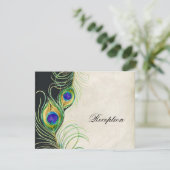 Peacock Feathers Opvangkaart Informatiekaartje (Staand voorkant)