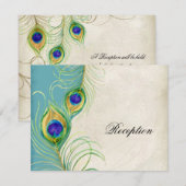 Peacock Feathers Opvangkaart Informatiekaartje (Voorkant / Achterkant)