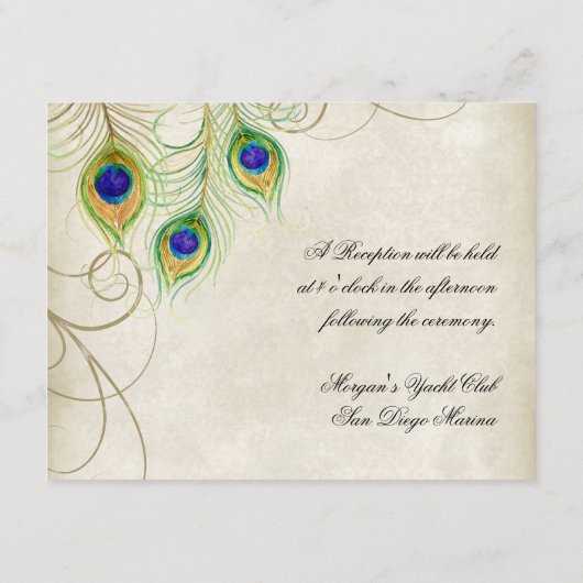 Peacock Feathers Opvangkaart Informatiekaartje (Achterkant)