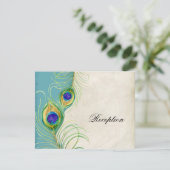 Peacock Feathers Opvangkaart Informatiekaartje (Staand voorkant)