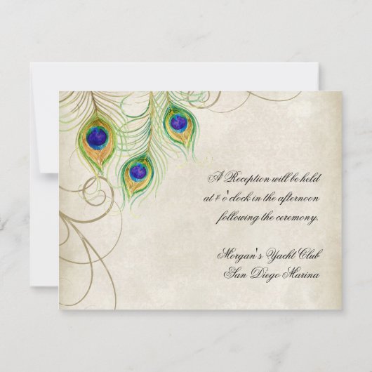 Peacock Feathers Opvangkaart Kaart (Achterkant)