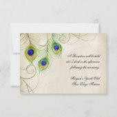 Peacock Feathers Opvangkaart Kaart (Achterkant)