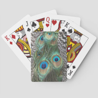 Peacock Feathers Patroon Speelkaarten