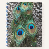 Peacock Feathers Pattern Notitieboek (Voorkant)