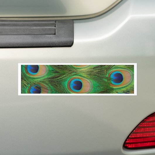 Peacock Feathers - Peafowl Bumpersticker (Op auto)