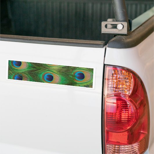 Peacock Feathers - Peafowl Bumpersticker (Op Truck)