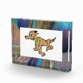 Peacock Feathers Photo Block Fotoblokken (Rechts)